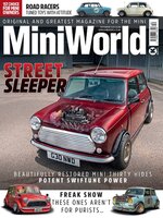 MiniWorld